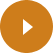 video-icon video-icon